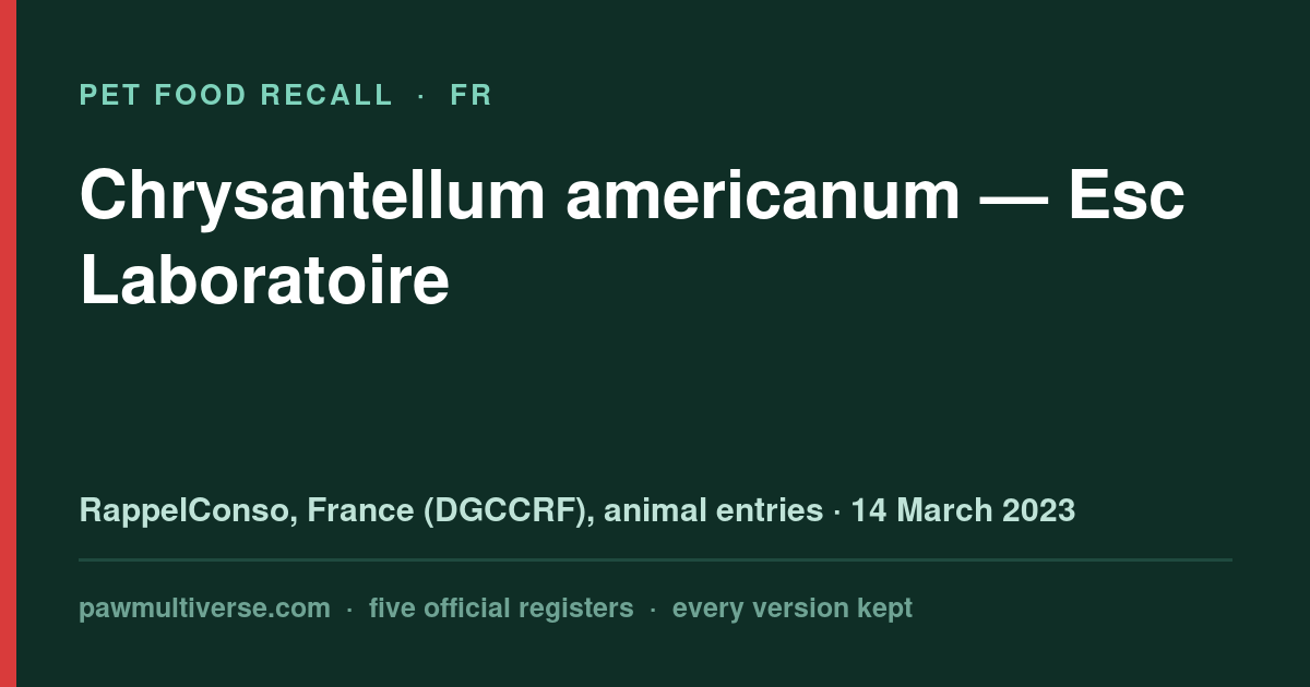 Esc Laboratoire recall: Chrysantellum americanum (Esc Laboratoire)
